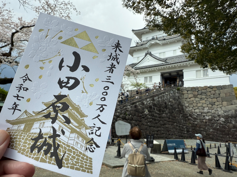 小田原城 御城印 小田原城天守閣3,000万人記念御城印 | 全国御城
